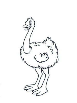 Disegno di struzzo da stampare e colorare 12