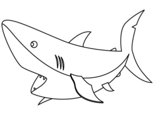 Disegno di squalo da stampare e colorare 79