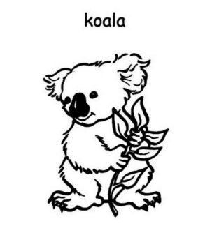 Disegno di koala da stampare e colorare 26