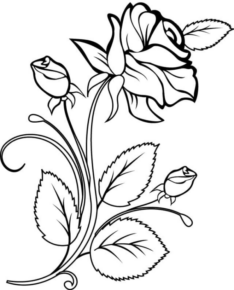 Disegno di fiore da stampare e colorare 462