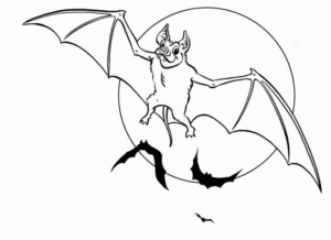 Disegno di pipistrello da stampare e colorare 5