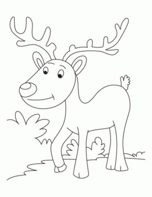 Disegno di renna di Natale da stampare e colorare 13