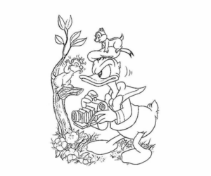 Disegno di Paperino da stampare e colorare 127