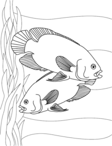 Disegno di pesce da stampare e colorare 212