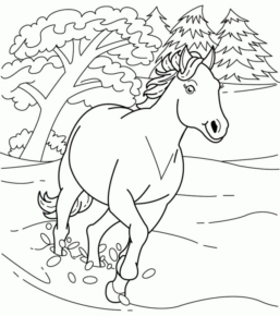 Disegno di cavallo da stampare e colorare 81