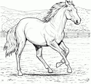 Disegno di cavallo da stampare e colorare 58