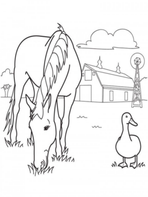 Disegno di cavallo da stampare e colorare 43