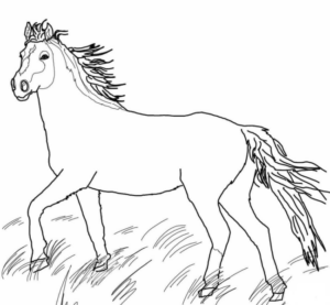 Disegno di cavallo da stampare e colorare 151