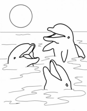 Disegno di delfino da stampare e colorare 6