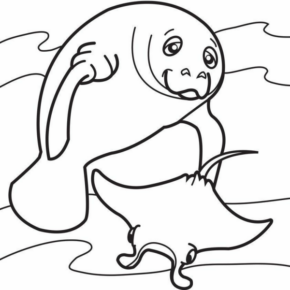 Disegno di foca da stampare e colorare 36