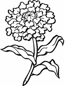 Disegno di fiore da stampare e colorare 353