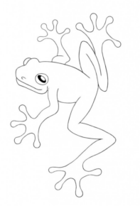 Disegno di rana da stampare e colorare 80