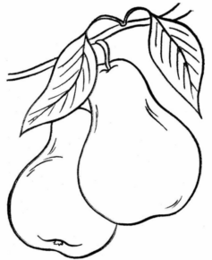 Disegno di pera da stampare e colorare 14