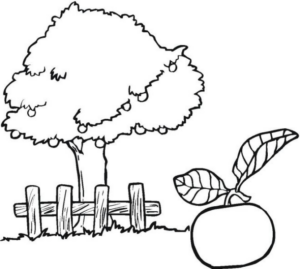 Disegno di albero da frutta da stampare e colorare 7