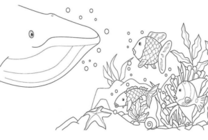 Disegno di balena da stampare e colorare 24