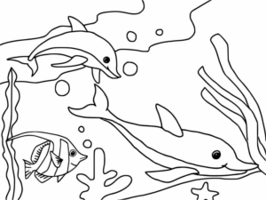 Disegno di delfino da stampare e colorare 8