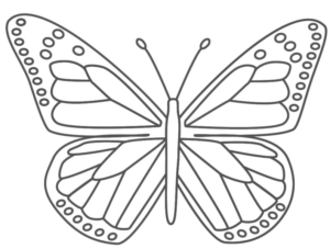 Disegno di farfalla da stampare e colorare 122