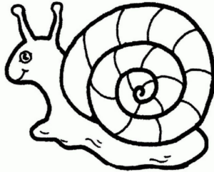 Disegno di lumaca da stampare e colorare 32