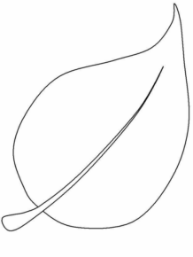 Disegno di foglia da stampare e colorare 41