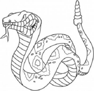 Disegno di serpente da stampare e colorare 19