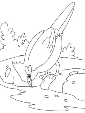 Disegno di uccello da stampare e colorare 24