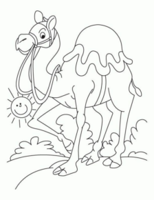 Disegno di dromedario da stampare e colorare 6