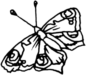 Disegno di farfalla da stampare e colorare 120
