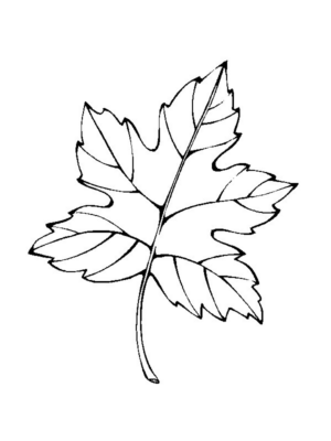 Disegno di foglia da stampare e colorare 138