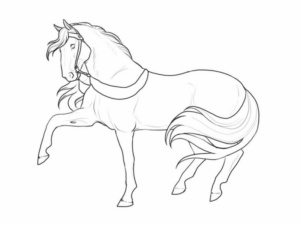 Disegno di cavallo da stampare e colorare 205