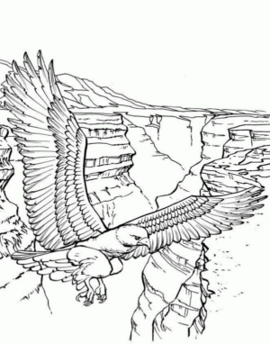 Disegno di aquila da stampare e colorare 16
