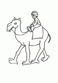 Disegno di dromedario da stampare e colorare 23