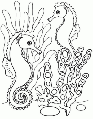 Disegno di cavalluccio marino da stampare e colorare 5