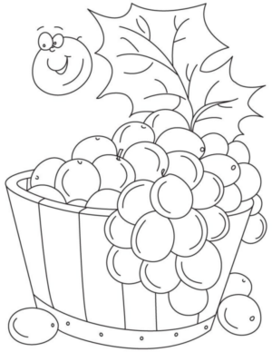 Disegno di uva da stampare e colorare 24