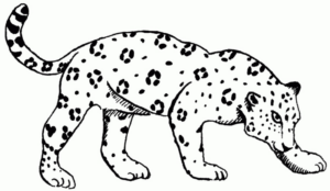 Disegno di leopardo da stampare e colorare 2