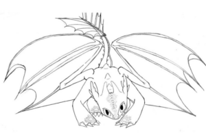 Disegno di Dragon Trainer da stampare e colorare 18