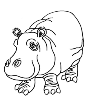 Disegno di ippopotamo da stampare e colorare 7