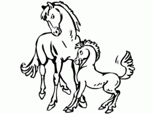Disegno di cavallo da stampare e colorare 27