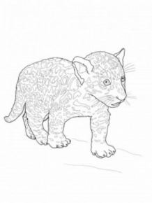Disegno di leopardo da stampare e colorare 52