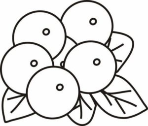 Disegno di ciliegia da stampare e colorare 13