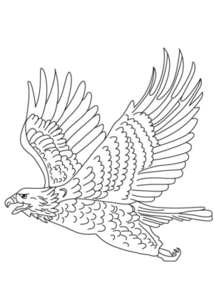 Disegno di aquila da stampare e colorare 2