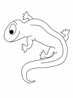 Disegno di lucertola da stampare e colorare 33