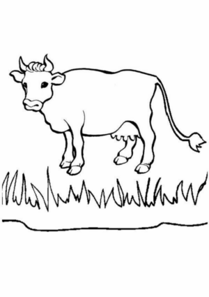 Disegno di mucca da stampare e colorare 117