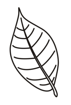 Disegno di foglia da stampare e colorare 187