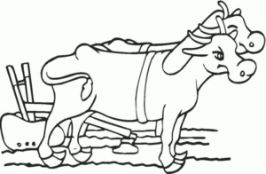 Disegno di mucca da stampare e colorare 53