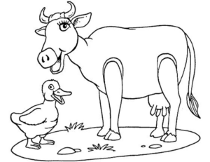 Disegno di mucca da stampare e colorare 14