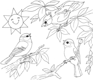 Disegno di passero da stampare e colorare 112