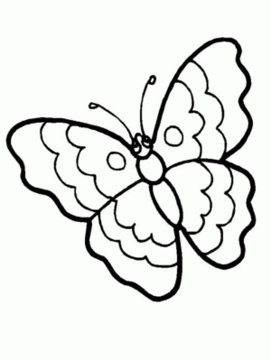 Disegno di farfalla da stampare e colorare 211