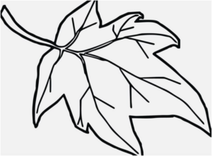 Disegno di foglia da stampare e colorare 110