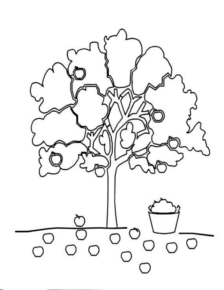 Disegno di albero da frutta da stampare e colorare 9