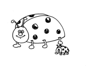Disegno di coccinella da stampare e colorare 29